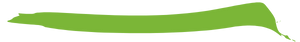 green hand-drawn divider